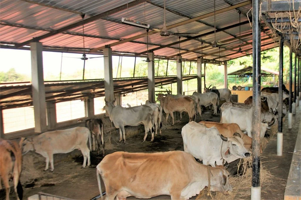Farm after development