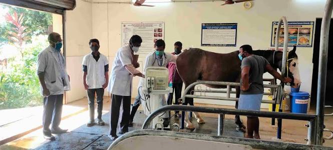 Students learning practical skills