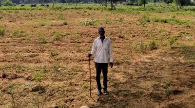 Patel Dairy Farm
