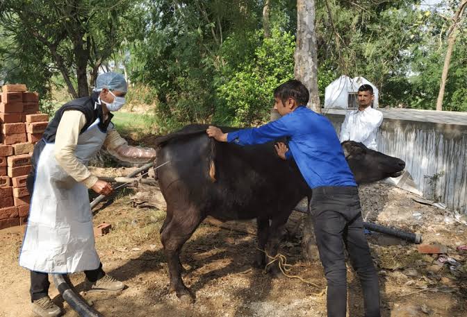 Students learning practical skills