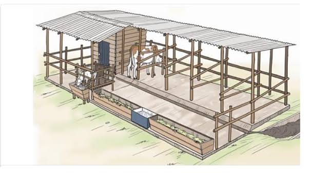Shed Design and Layout
