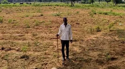 Farm before development
