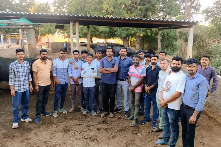 Ekta team on a farm visit beside the cattle shed